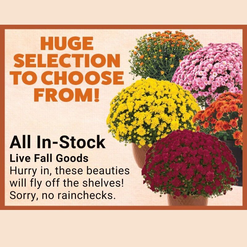 Edgewater Fall Live Goods Sale