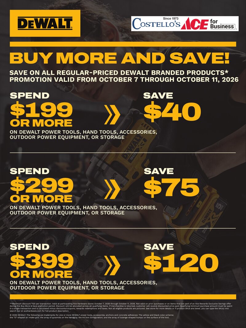 Dewalt BMSM Promo