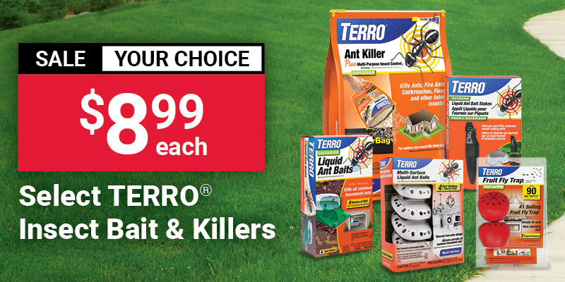TERRO® Insect Bait and Killers