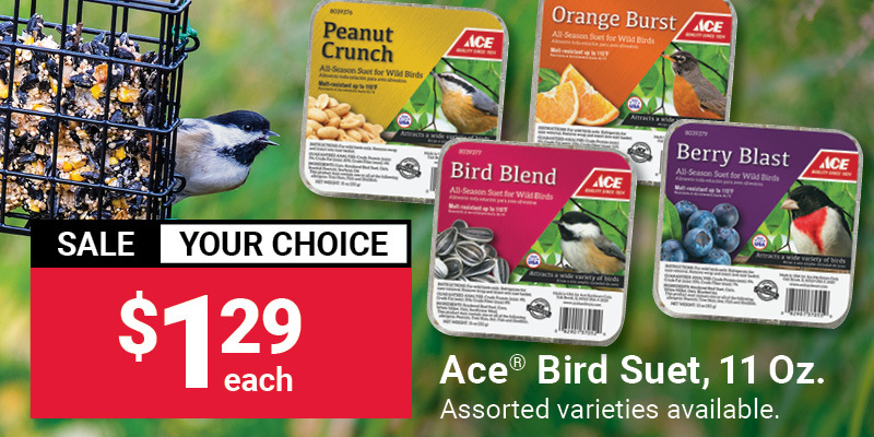 Ace® Bird Suet, 11 Oz.