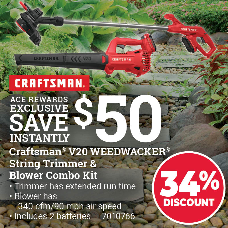 Craftsman® V20 WEEDWACKER® String Trimmer & Blower Combo Kit