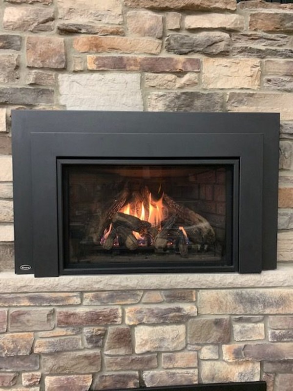 Enviro E33 Gas Insert