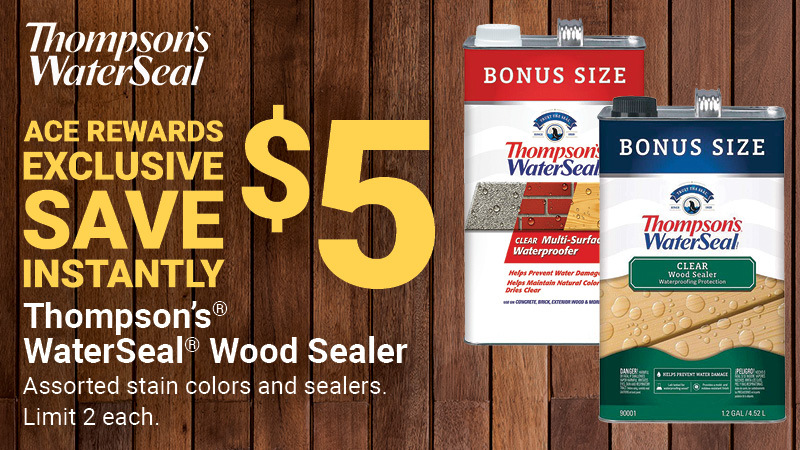 Thompson's® WaterSeal® Wood Sealer