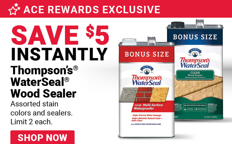 Thompson's WaterSeal® Wood Sealer