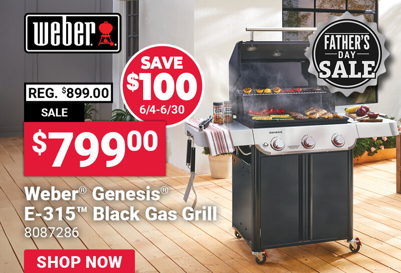 Weber® Genesis® E-315™ Gas Grill