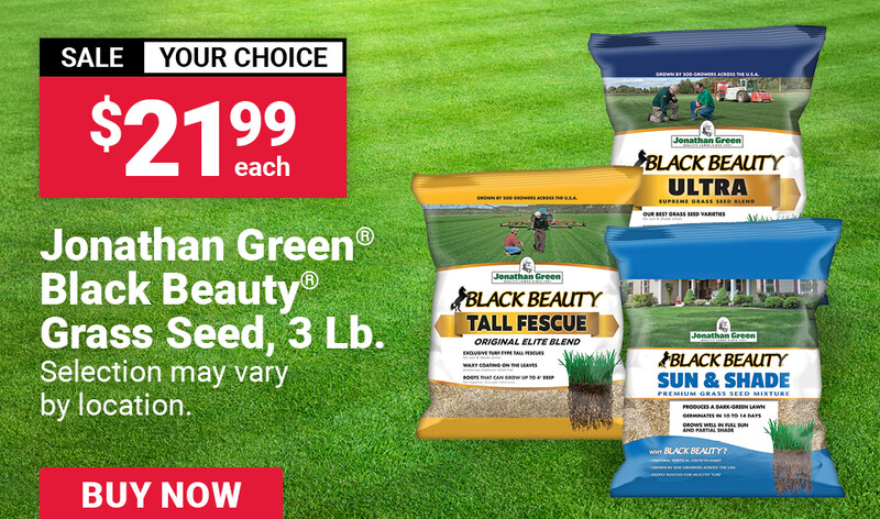 Jonathan Green® Black Beauty® Grass Seed, 3 Lb.