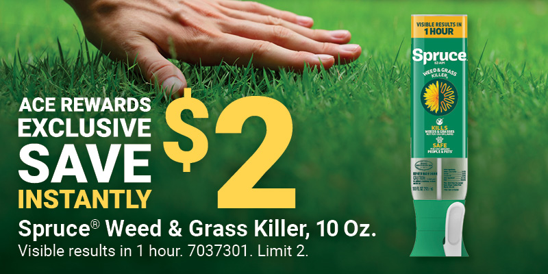 Spruce® Weed & Grass Killer, 10 Oz.