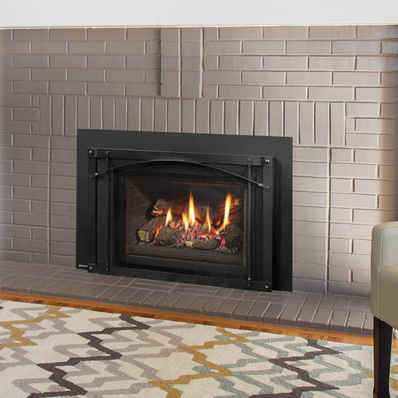 Regency LRI4E Gas Insert