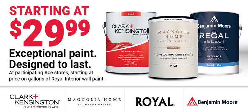 Paint Starting at $29.99
