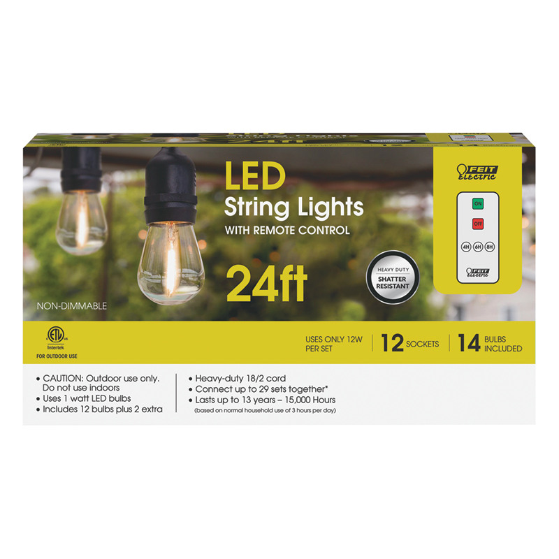 Feit LED String Lights With Remote Control