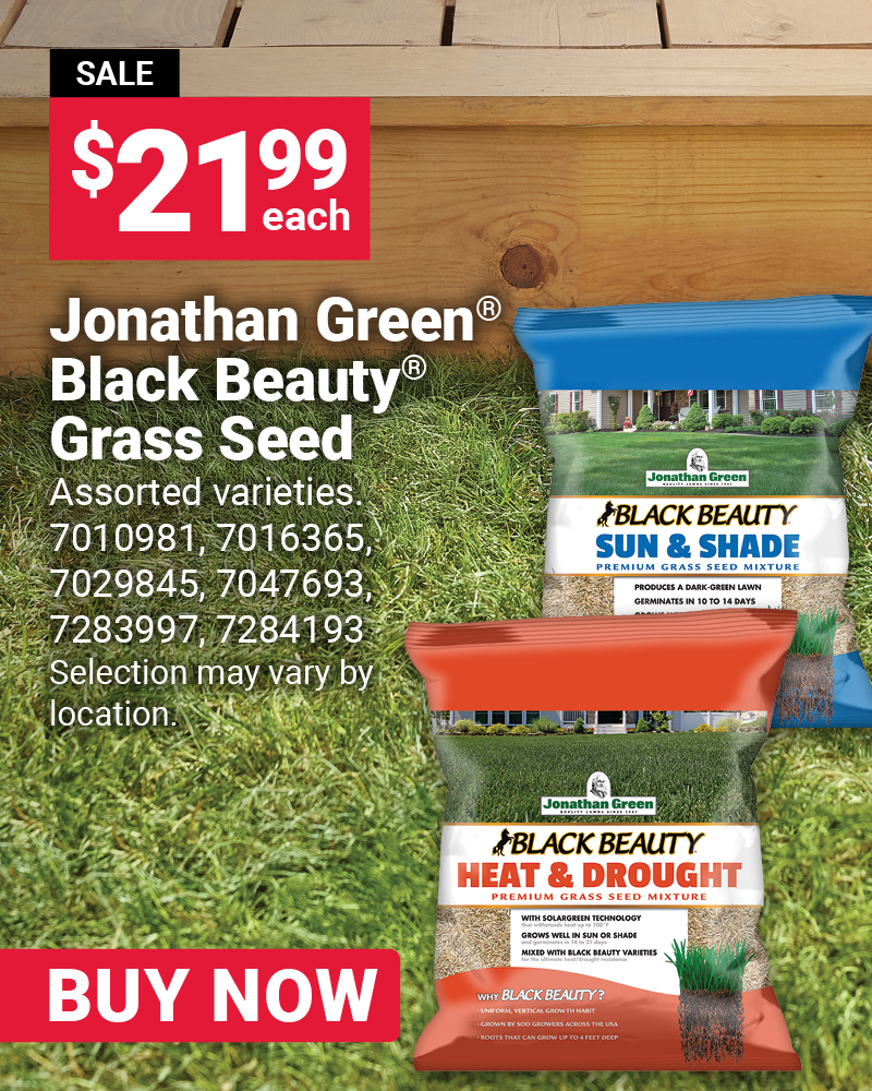 Jonathan Green® Black Beauty® Grass Seed
