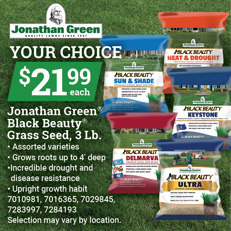 Jonathan Green® Black Beauty® Grass Seed, 3 Lb.