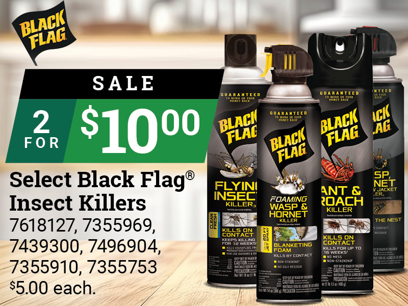 Select Black Flag® Insect Killer Sprays and Foams