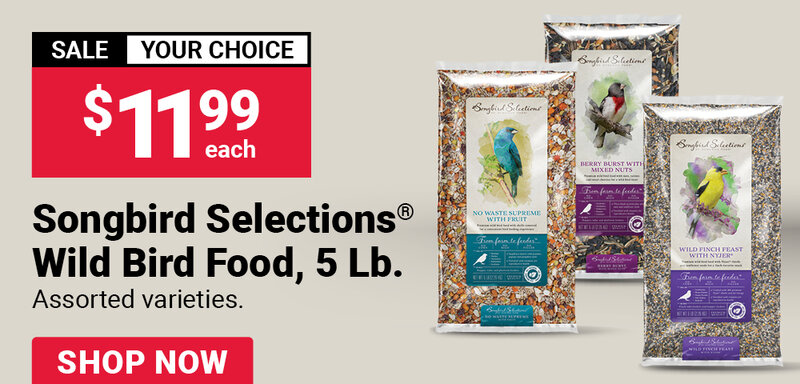 Songbird Selections® Wild Bird Food, 5 Lb.