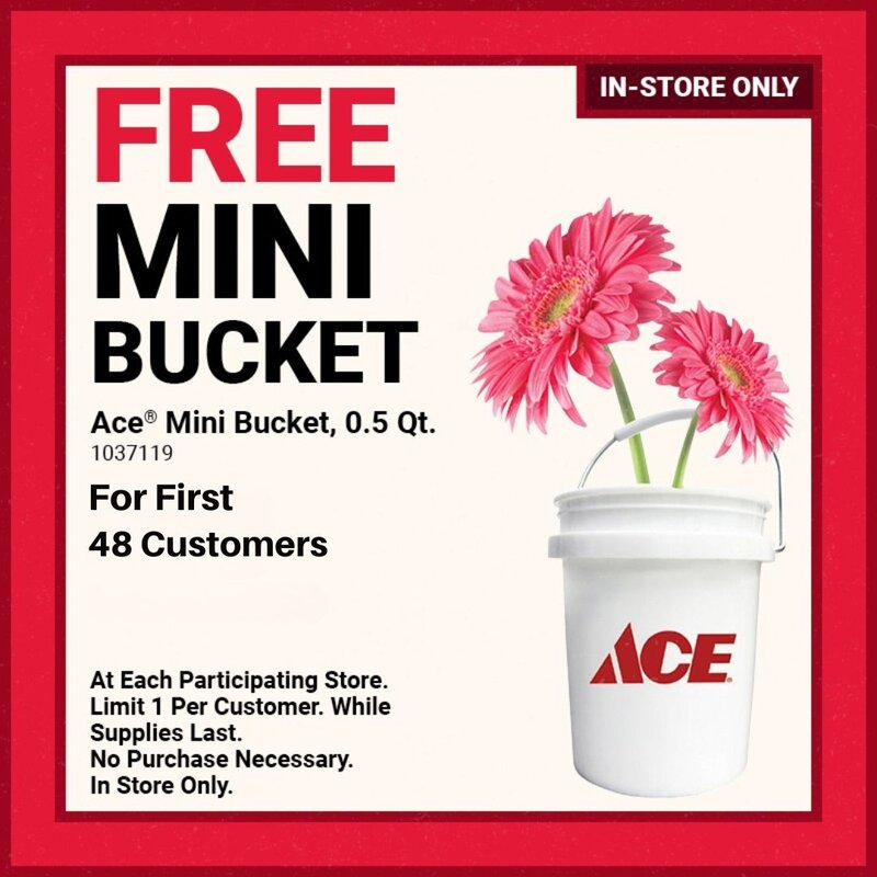 FREE Mini Ace® Mini Bucket, 0.5 Qt.