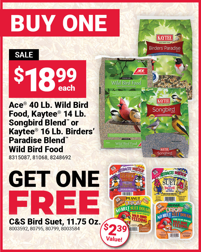 Bird Seed & Bird Suet Offer