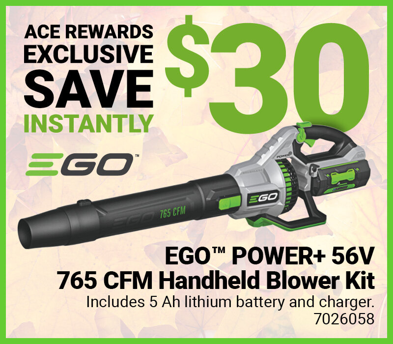 EGO™ POWER+ 56V 765 CFM Handheld Blower Kit