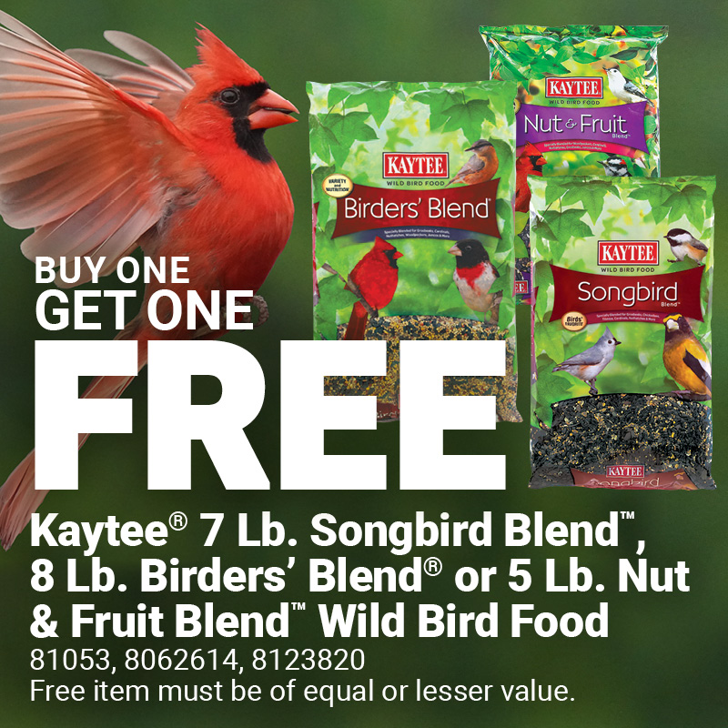 Kaytee® Bird Seed Offer