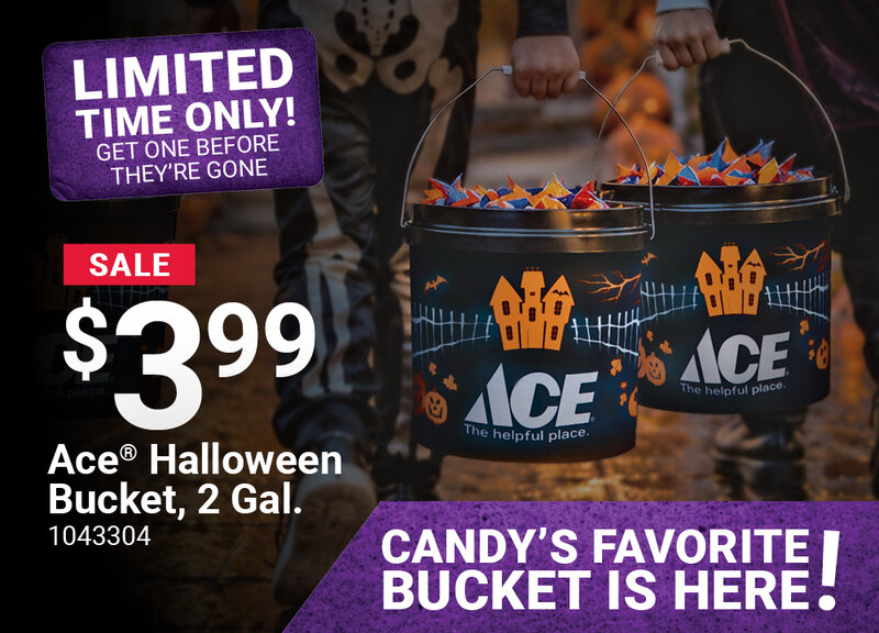 Ace® Halloween Bucket