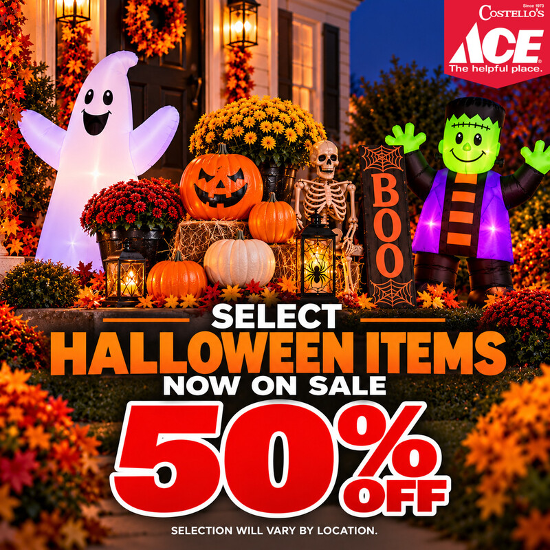 Halloween 50% 2026