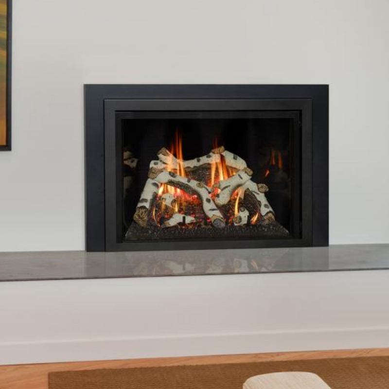 Kozy Heat Roosevelt Gas Insert