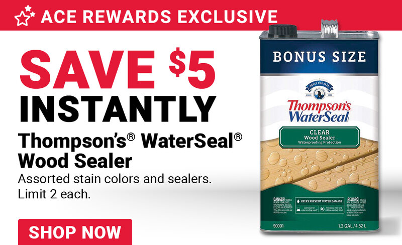 Thompson's WaterSeal® Wood Sealer