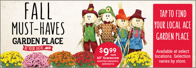 Garden Place At Your Local Ace: Indoor Plants 