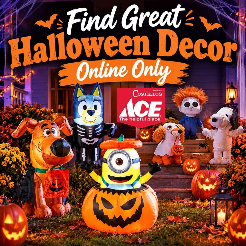 Halloween Decor