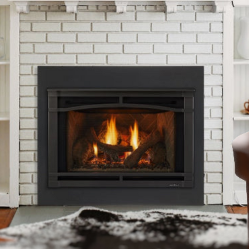 Heat & Glo Supreme Gas Insert