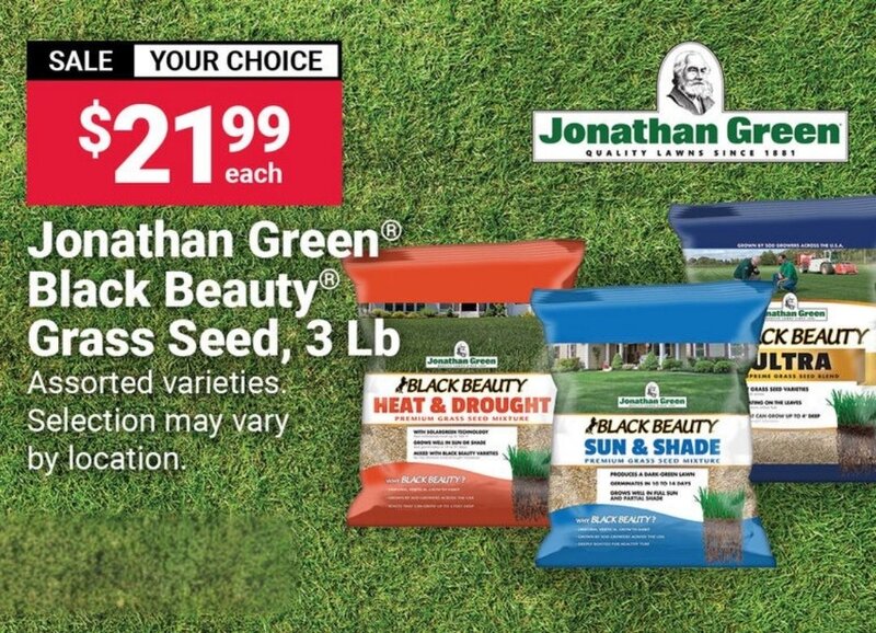 Jonathan Green® Black Beauty® Grass Seed, 3 Lb.