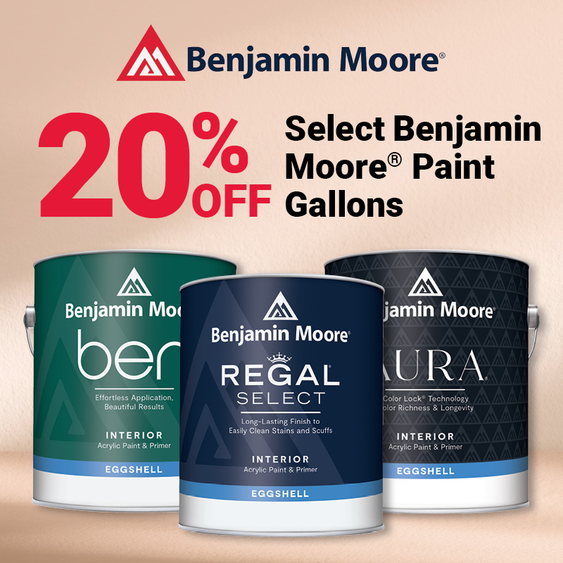 1 Gal. Benjamin Moore Ben Eggshel White Paint And Primer