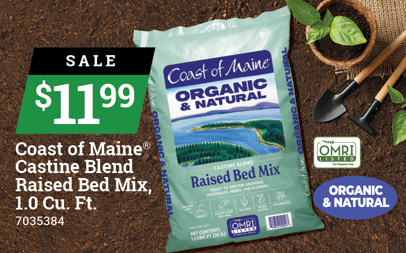 Coast of Maine® Castine Blend Raised Bed Mix, 1.0 Cu. Ft.