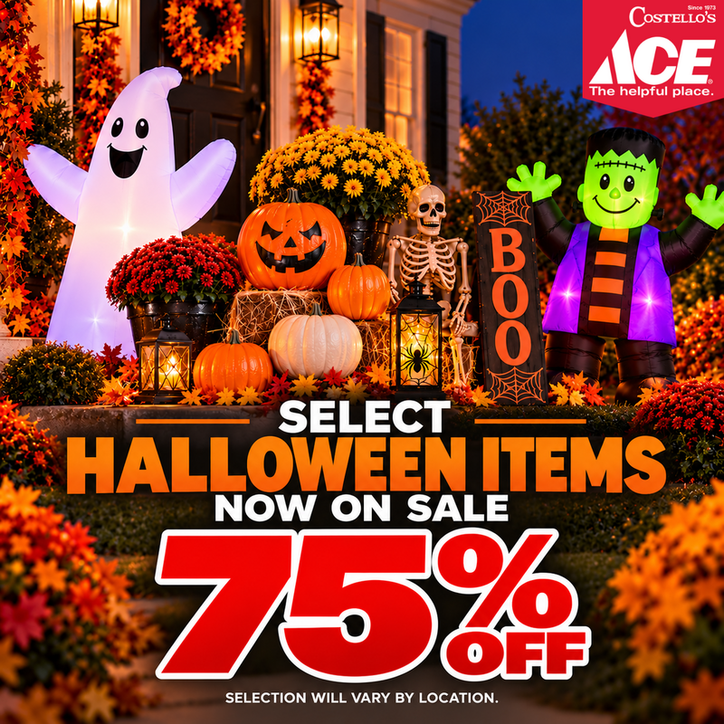Halloween 2026 75% 